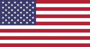 american flag-Venice