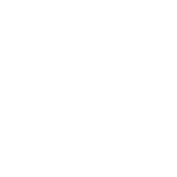 ce logo Venice